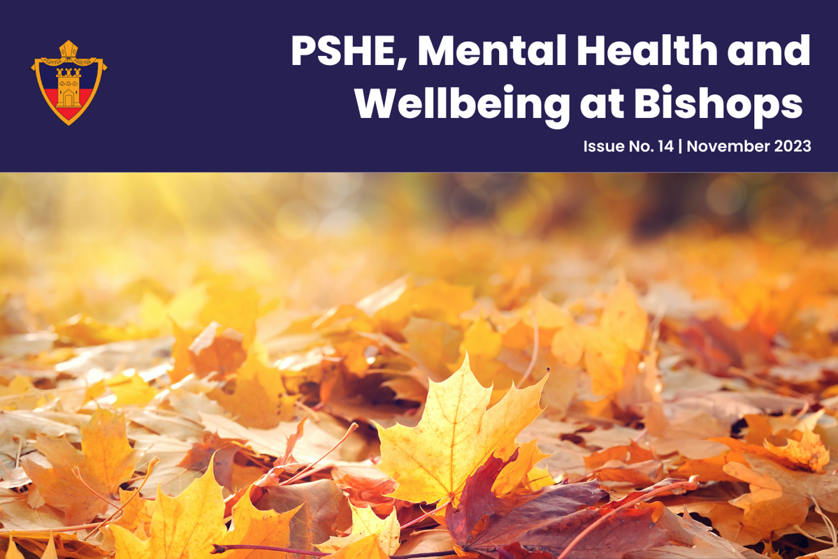 Image of PSHE, Mental Health and Wellbeing Newsletter Issue 14 available now