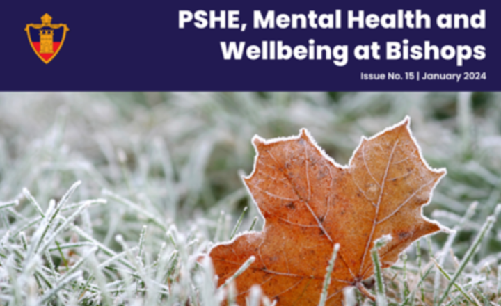 Image of PSHE, Mental Health and Wellbeing Newsletter Issue 15 available now